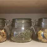 Karastoyanovi's *